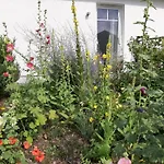 Schoenes In Brochterbeck Mit Garten By Interhome