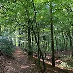 Feriehus Schoenes In Brochterbeck Mit Garten By Interhome *