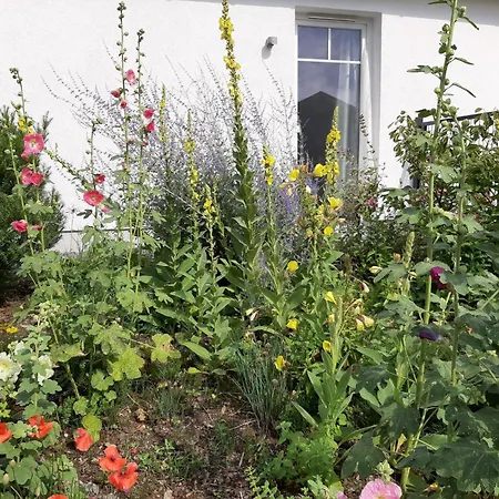 Schoenes In Brochterbeck Mit Garten By Interhome