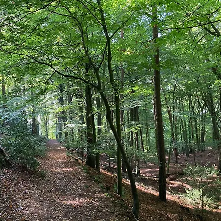 Prázdninový dům Schoenes In Brochterbeck Mit Garten By Interhome *