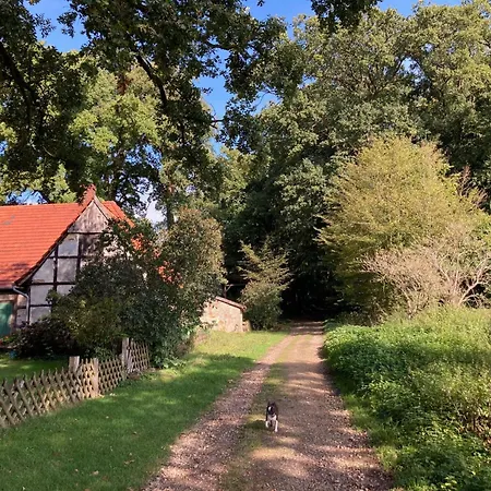 Schoenes In Brochterbeck Mit Garten By Interhome