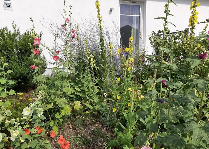 Schoenes In Brochterbeck Mit Garten By Interhome