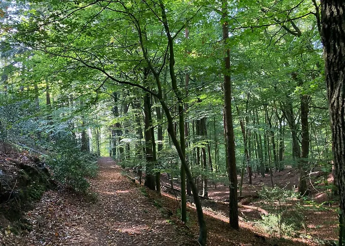 Vakantiehuis Schoenes In Brochterbeck Mit Garten By Interhome *