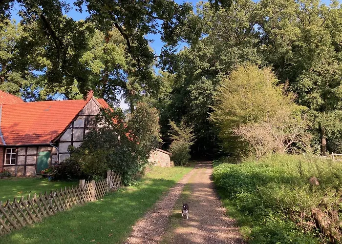 Schoenes In Brochterbeck Mit Garten By Interhome